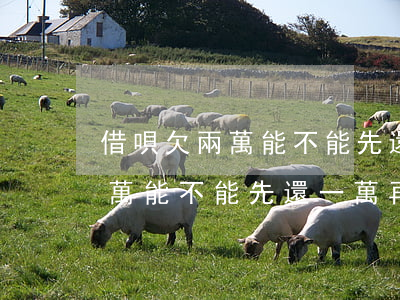 借唄欠兩萬能不能先還一萬再借-借唄欠兩萬能不能先還一萬再借一百