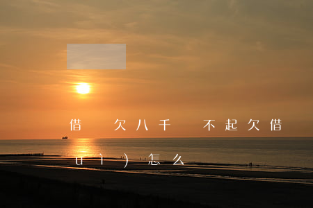 借唄欠八千還不起(欠借唄8萬還不起會(huì)怎么樣)