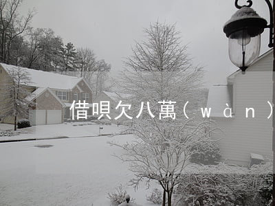 借唄欠八萬(wàn)讓一次性還清