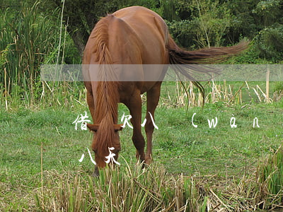 借唄欠八萬(wàn)逾期一天(借唄逾期七八天)