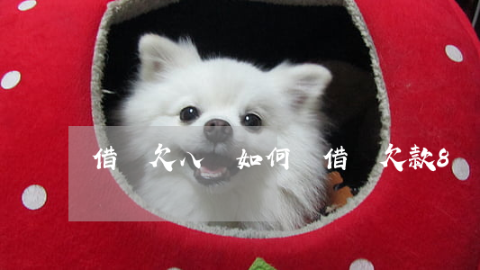 借唄欠八萬如何還(借唄欠款8萬要起訴了)