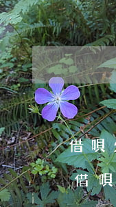借唄欠八萬還能申請(qǐng)信用卡嗎(借唄欠錢可以辦信用卡嗎)