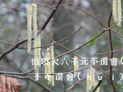 借唄欠六千元不還會(huì)怎樣(借唄五千不還會(huì)怎么樣)
