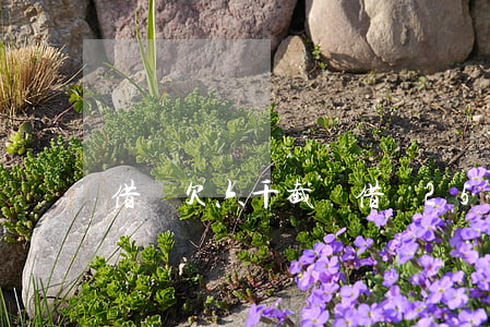 借唄欠六千截圖(借唄25000還欠截圖)