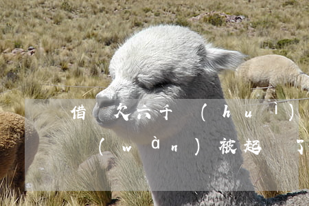 借唄欠六千會(huì)被起訴(借唄欠款七萬(wàn)被起訴了怎么辦)