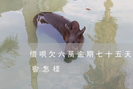 借唄欠六萬逾期七十五天(借唄逾期七十多天會怎樣)