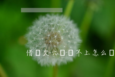 借唄欠六萬還不上怎么辦