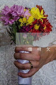 借唄欠十萬逾期