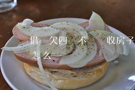 借唄欠四萬不還會收房子嗎(借唄4萬還不上怎么辦)
