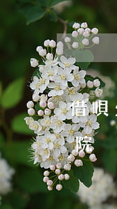 借唄欠多久上法庭(螞蟻借唄多久不還會上法院)