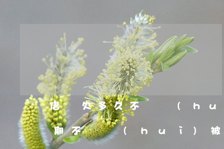 借唄欠多久不還會(huì)被起訴(借唄逾期不還會(huì)被起訴嗎)