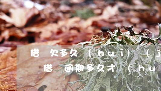 借唄欠多久會(huì)進(jìn)黑名單(借唄逾期多久才會(huì)上征信黑名單)