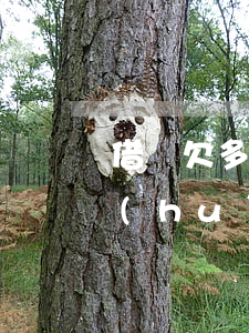 借唄欠多少會(huì)被起訴立案(借唄會(huì)被法院起訴嗎)