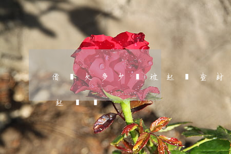 借唄欠多少會被起訴查封房產(借唄欠錢會被起訴嗎?)