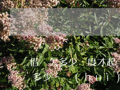 借唄欠多少額度才起訴(借唄超過(guò)多少錢會(huì)被起訴)