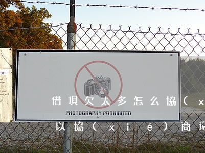 借唄欠太多怎么協(xié)商(借唄怎么可以協(xié)商還款)