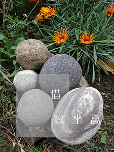 借唄欠幾個月不能坐高鐵(支付寶借唄欠款可以坐高鐵嗎)