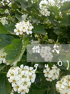 借唄欠幾十塊錢影響辦房貸嗎(借唄上借過(guò)錢影響辦理房貸嗎)