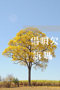 借唄欠幾千塊會被起訴嘛(欠借唄逾期會被起訴嗎)