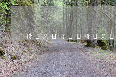 借唄欠幾百塊錢(借唄欠兩萬)