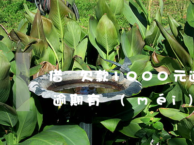 借唄欠款1000元逾期半年(借唄2000逾期有沒(méi)有事)