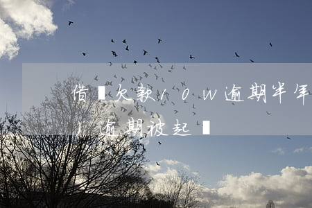 借唄欠款10w逾期半年(借唄十萬(wàn)逾期被起訴)