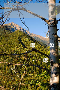 借唄欠款10萬如何制定還款計(jì)劃-借唄欠款10萬如何制定還款計(jì)劃呢
