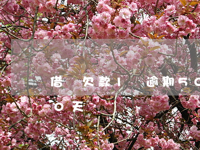 借唄欠款1萬逾期50天(借唄12萬逾期50天)