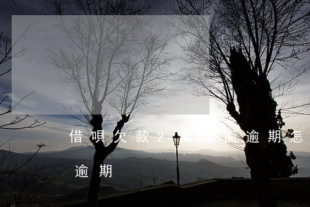 借唄欠款2萬全面逾期怎么辦(借唄欠一萬多逾期)
