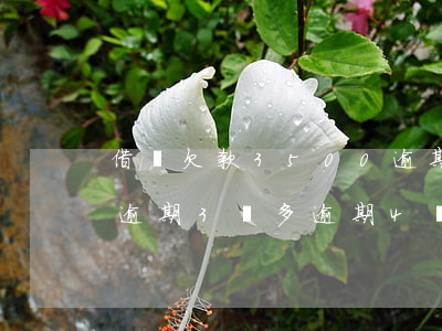 借唄欠款3500逾期三個(gè)月(借唄逾期3萬多逾期4個(gè)多月了)