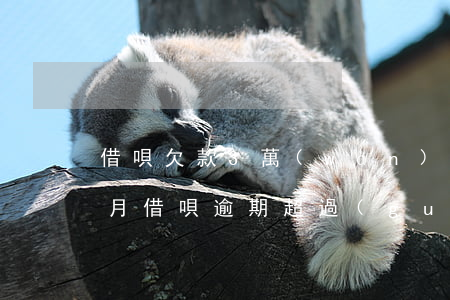 借唄欠款3萬(wàn)逾期5個(gè)月(借唄逾期超過(guò)三個(gè)月了)