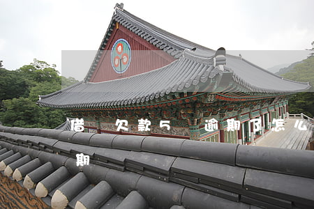 借唄欠款5萬逾期了怎么辦(螞蟻借唄五萬逾期費)