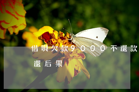 借唄欠款9000不還款(借唄欠1000不還后果)