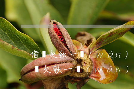 借唄欠款一萬(wàn)多逾期30多天(借唄欠款一萬(wàn)逾期半年)