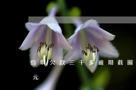 借唄欠款三千多逾期截圖(借唄逾期3000元)
