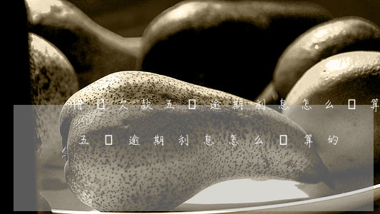 借唄欠款五萬逾期利息怎么計算-借唄欠款五萬逾期利息怎么計算的