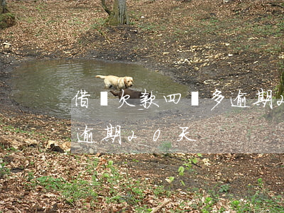 借唄欠款四萬多逾期20天(借唄欠款四萬多逾期20天)