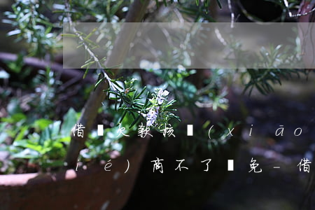 借唄欠款核銷(xiāo)為什么還協(xié)商不了減免-借唄欠款核銷(xiāo)為什么還協(xié)商不了減免還款