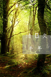 借唄欠款逾期190多天(借唄欠款一萬逾期半年)