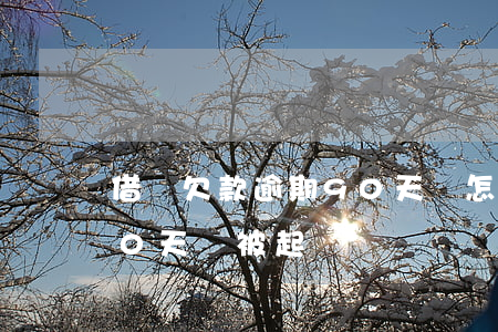 借唄欠款逾期90天會怎樣(借唄1萬逾期90天會被起訴嗎)