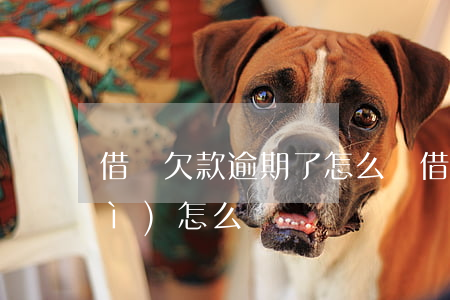 借唄欠款逾期了怎么辦(借唄逾期了會(huì)怎么辦?)