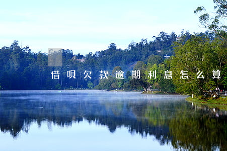 借唄欠款逾期利息怎么算(借唄怎么算是逾期)