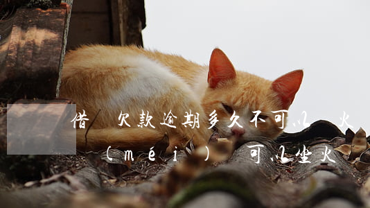 借唄欠款逾期多久不可以買火車票(借唄逾期沒(méi)還可以坐火車嗎)