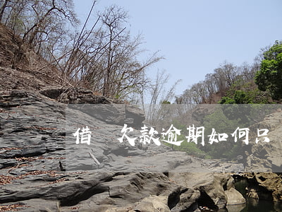 借唄欠款逾期 如何只還本金