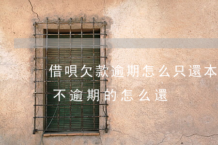 借唄欠款逾期怎么只還本金-借唄還完逾期 不逾期的怎么還