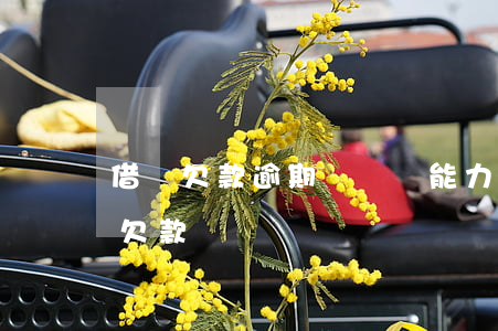 借唄欠款逾期無償還能力(借唄逾期應還是總欠款嗎)