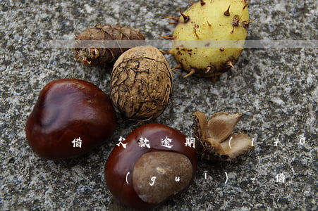 借唄欠款逾期聯(lián)系家人是不是違規(guī)-借唄欠款逾期聯(lián)系家人是不是違規(guī)了