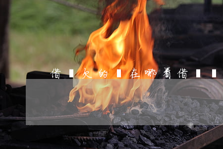 借唄欠的錢在哪看(借唄總欠款在哪里看)