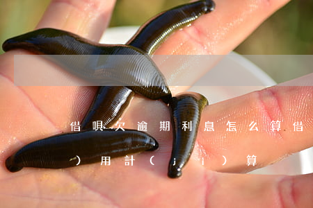 借唄欠逾期利息怎么算(借唄逾期費(fèi)用計(jì)算)