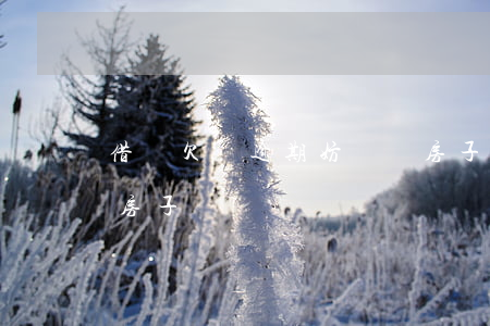 借唄欠錢逾期妨礙買房子嗎(借唄逾期影響買房子嗎)